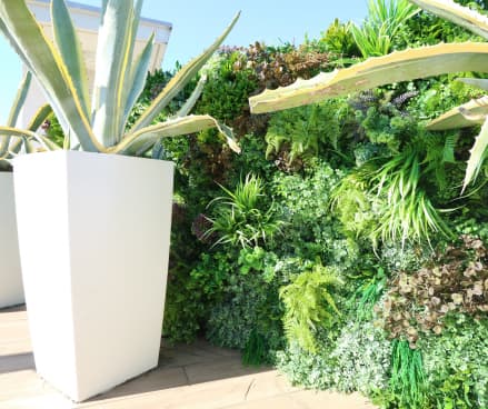 フェイクグリーン画像