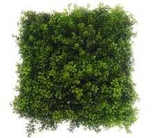 スタンダード画像