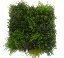 ヴェルヴェット画像