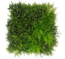 マラカイト画像