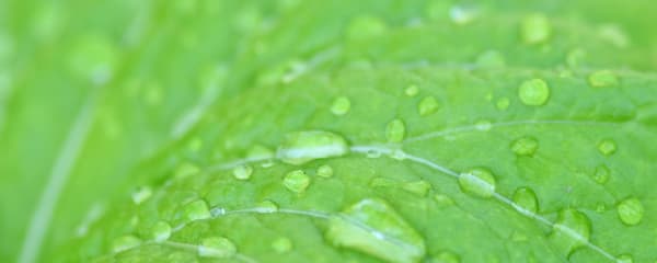 光触媒イメージ