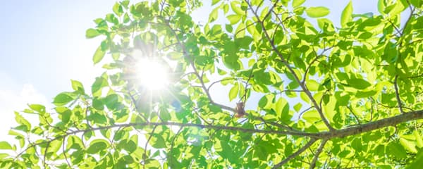 耐候性イメージ